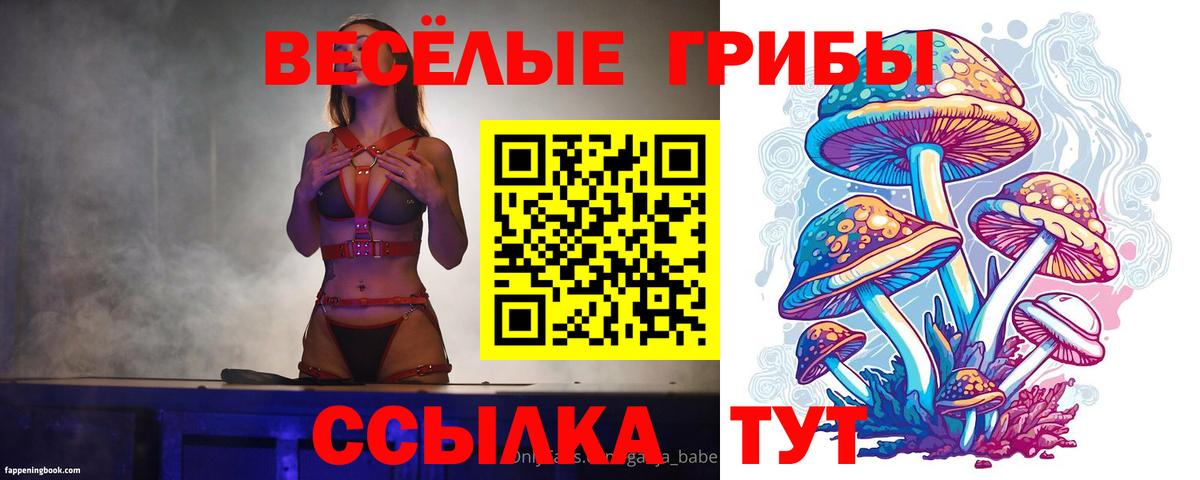 ГАШ  КОКАИН  Меф МЯУ МЯУ   Вход с VPN  Севастополь  Марихуана  ТГК  ГАШИШ  Alpha PVP СОЛЬ кристаллы 