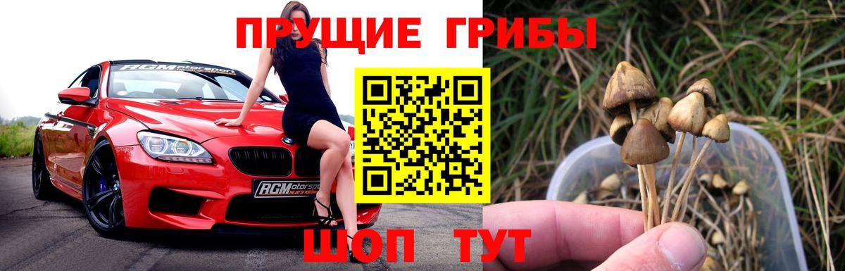 Псилоцибиновые грибы Magic Shrooms  Вход с VPN  Севастополь  Галлюциногенные грибы Psilocybine cubensis 