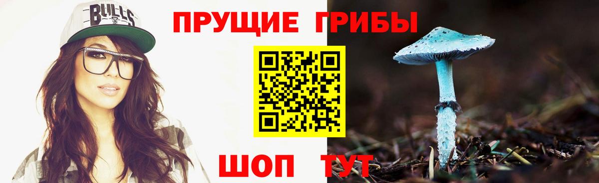 Галлюциногенные грибы Cubensis Севастополь